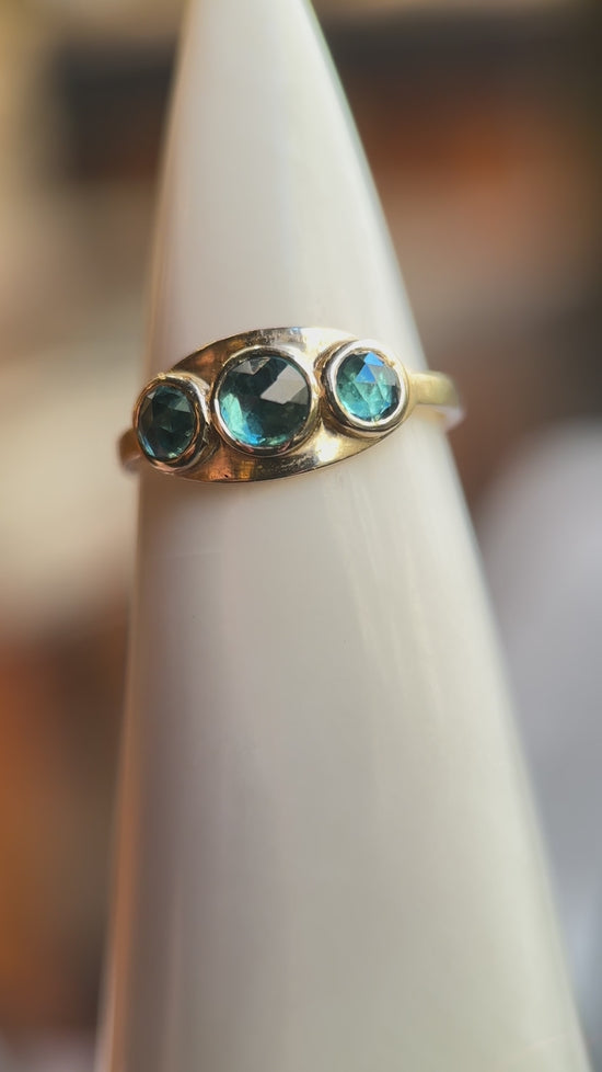 Load and play video in Gallery viewer, Celine Daoust 14k Blue Tourmaline Plate Ring
