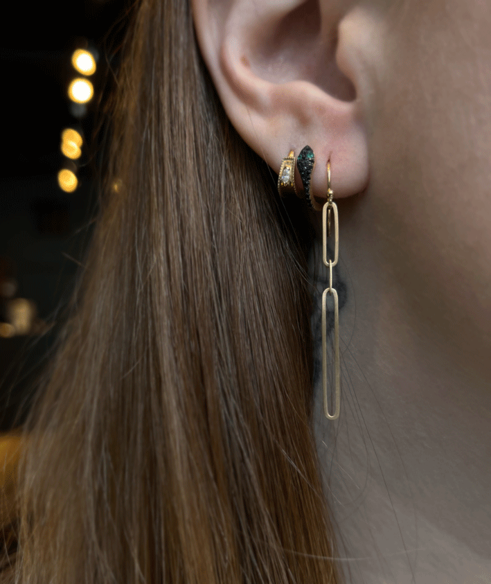 Load image into Gallery viewer, Carla Caruso Ovalong Chain Earrings
